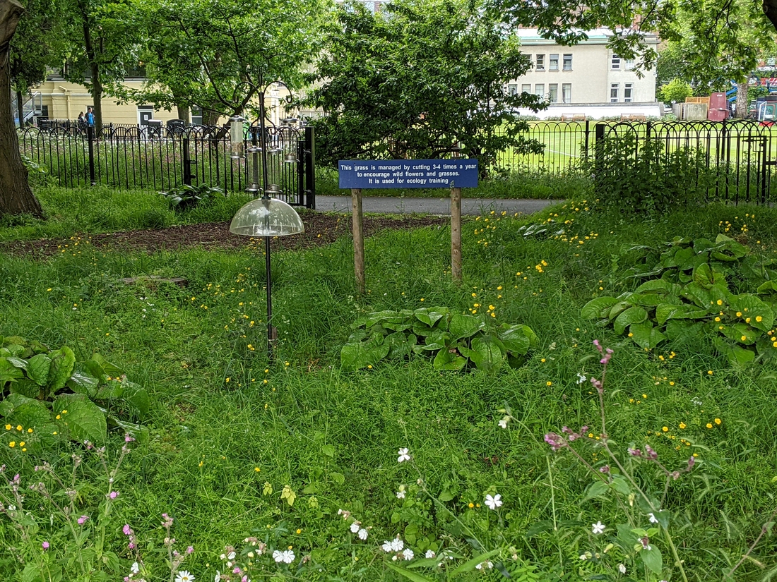 2022-05-30 119 Trinity College, Dublin.jpg