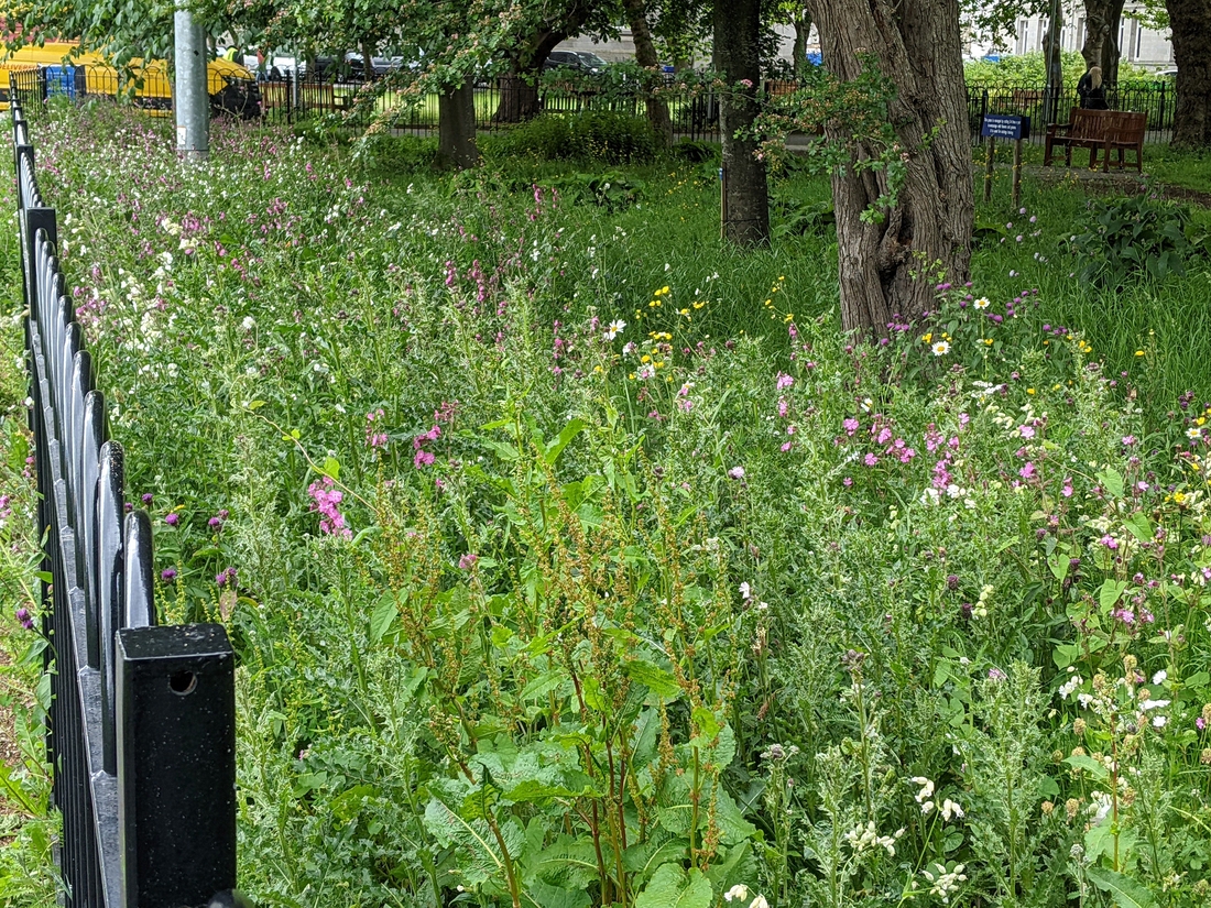 2022-05-30 121 Trinity College, Dublin.jpg