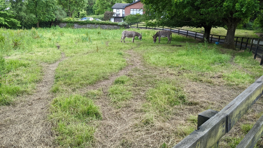 2022-05-31 088 Bunratty.jpg