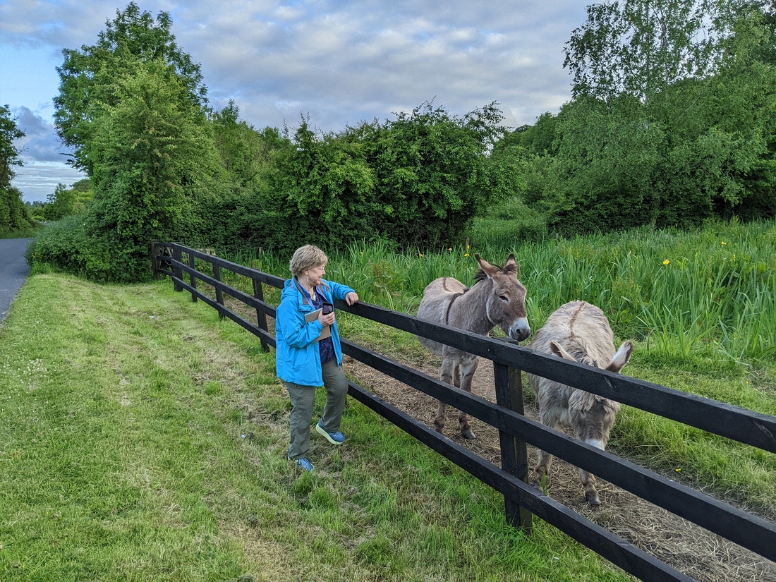 2022-05-31 142 Bunratty.jpg