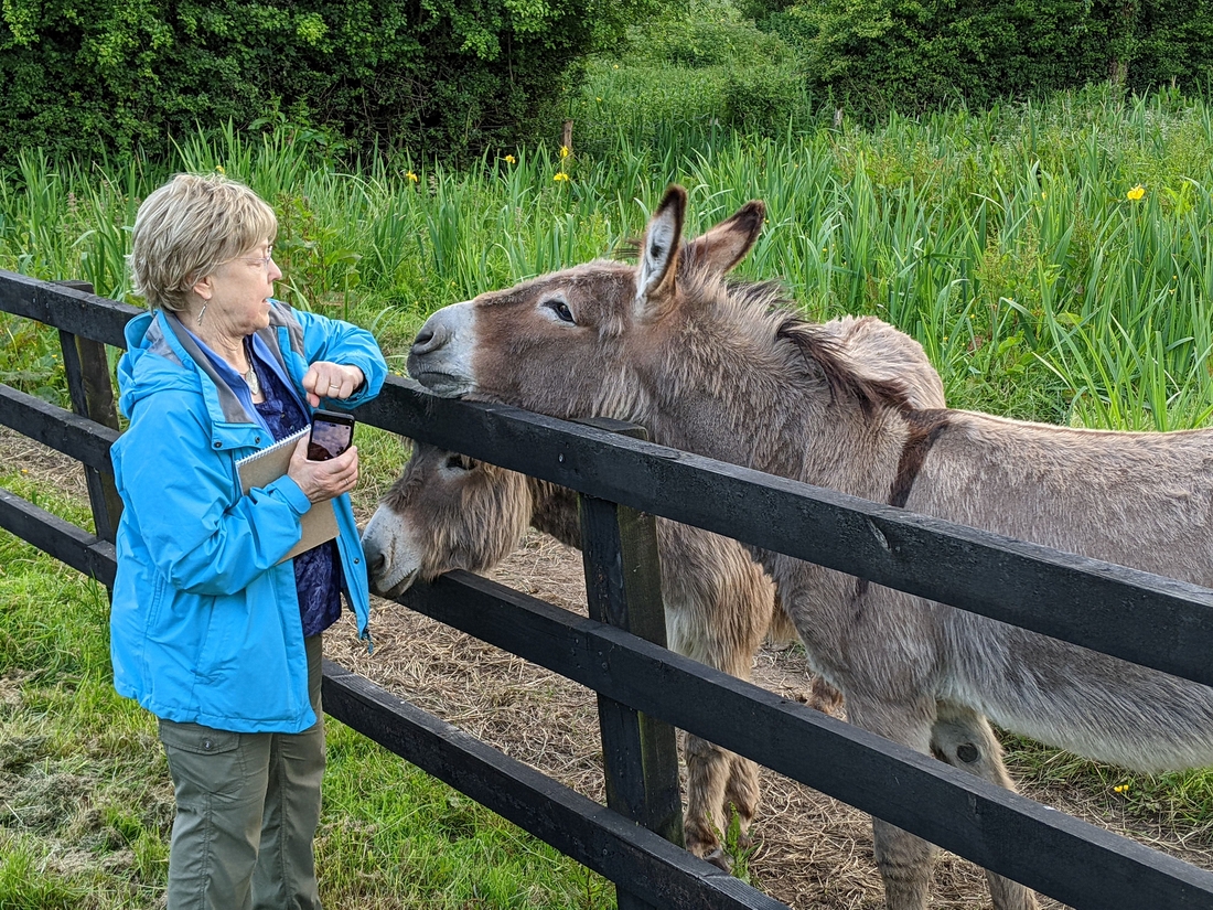 2022-05-31 158 Bunratty.jpg