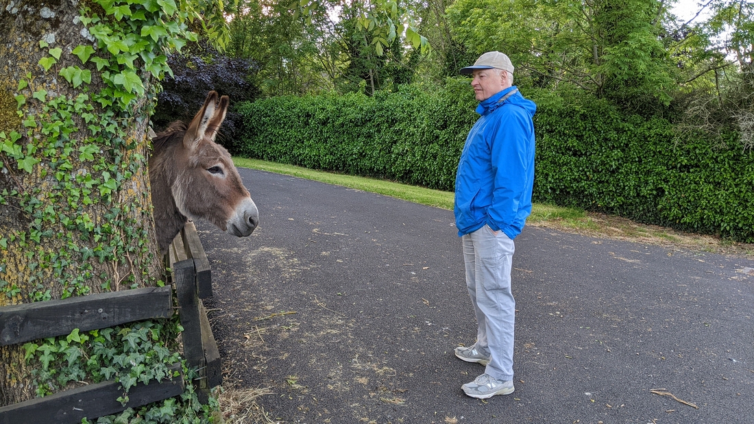 2022-05-31 178 Bunratty.jpg