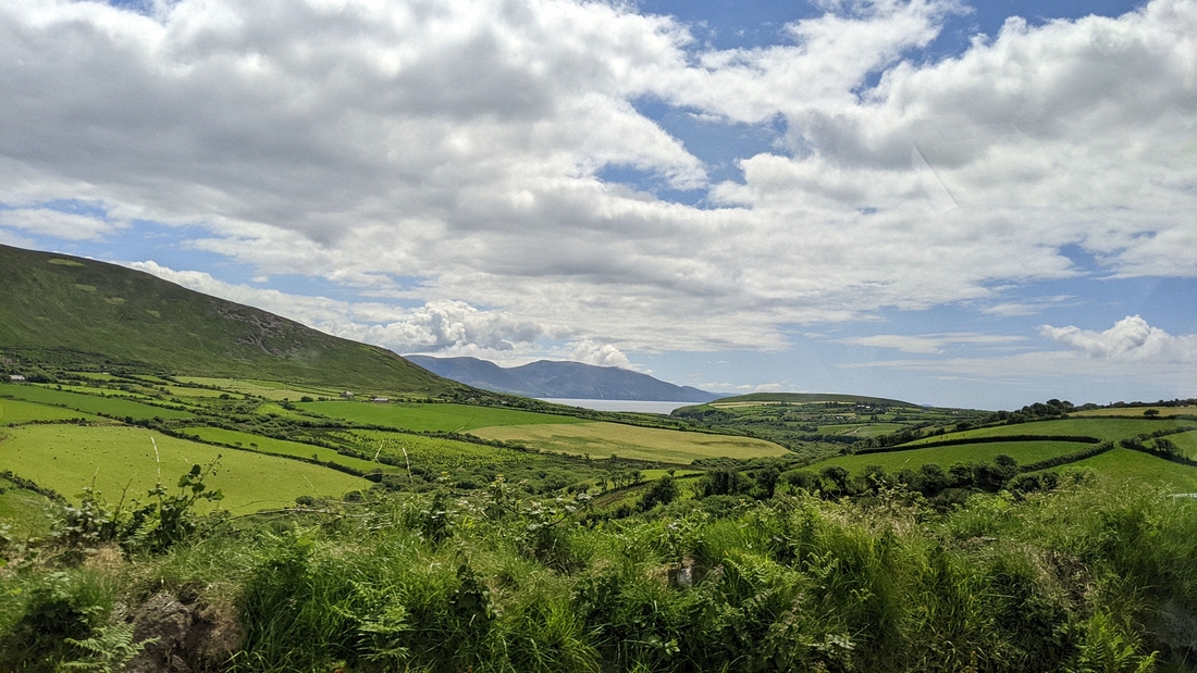 2022-06-01 144 Van to Dingle.jpg