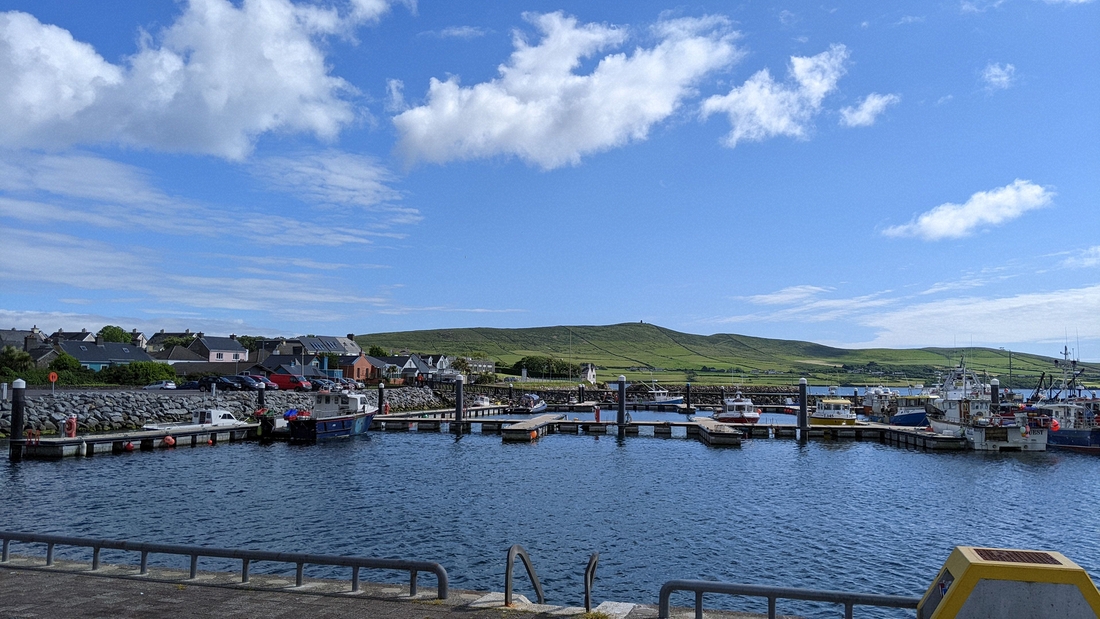 2022-06-01 172 First walk, around Dingle.jpg