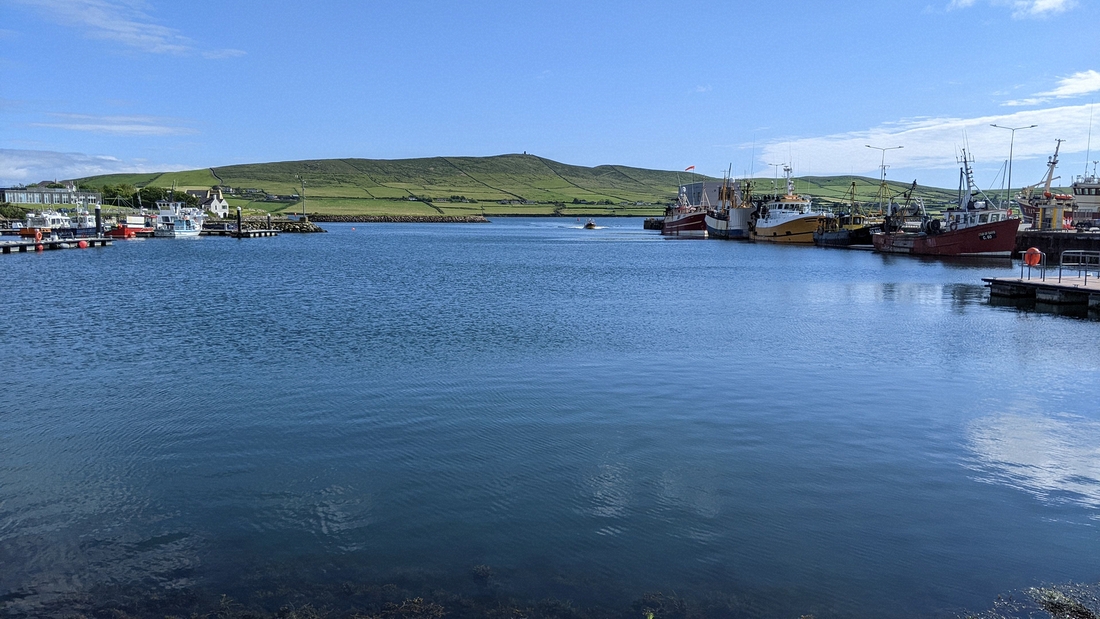2022-06-01 176 First walk, around Dingle.jpg