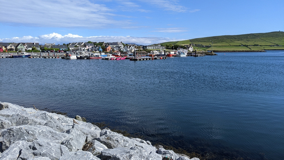 2022-06-01 177 First walk, around Dingle.jpg