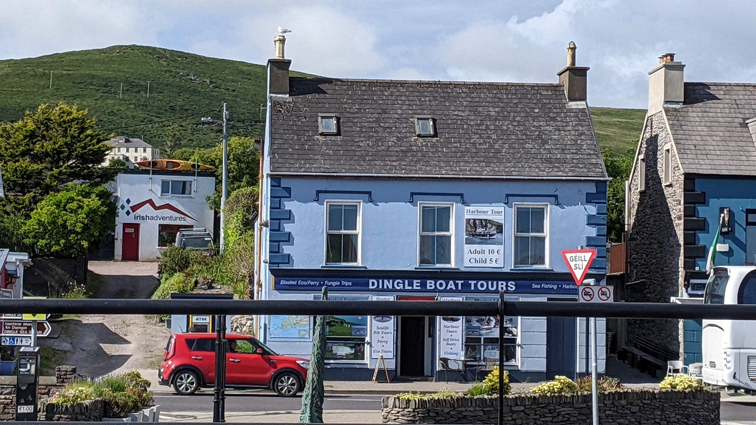 2022-06-01 183 First walk, around Dingle.jpg