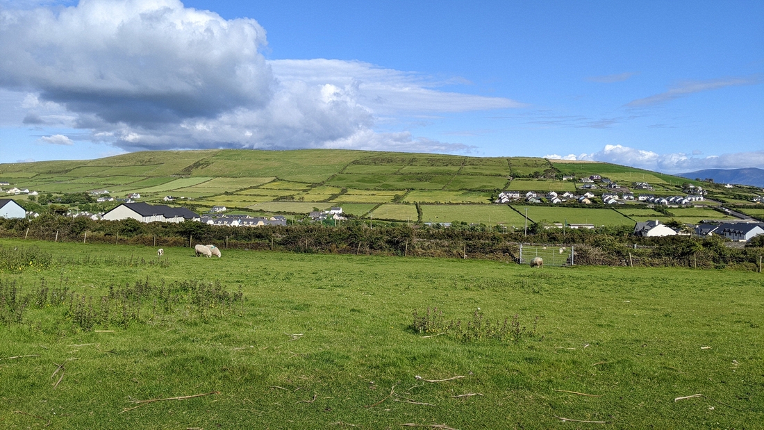 2022-06-01 202 First walk, around Dingle.jpg
