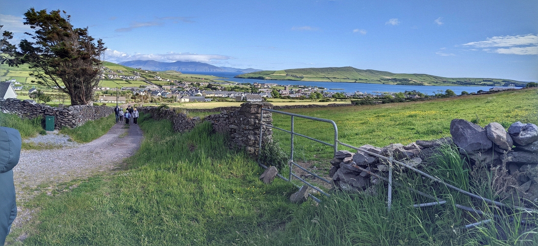 2022-06-01 203 First walk, around Dingle.jpg