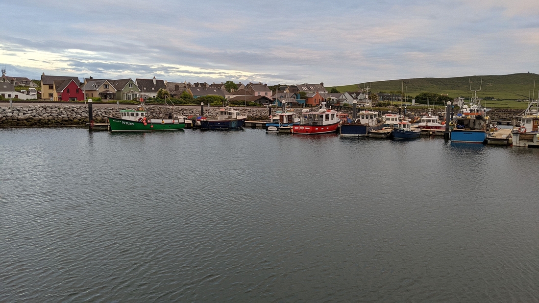 2022-06-01 273 First walk, around Dingle.jpg