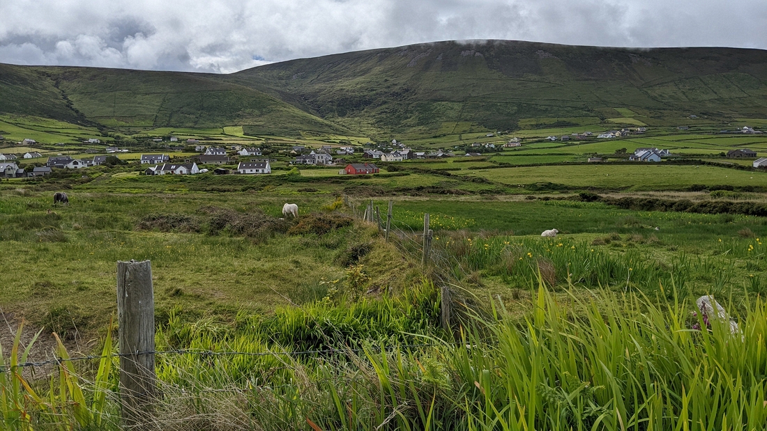 2022-06-02 012 Dunquin Wild Way Atlantic Walk, Dingle Peninsula.jpg