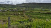 2022-06-02 012 Dunquin Wild Way Atlantic Walk, Dingle Peninsula.jpg