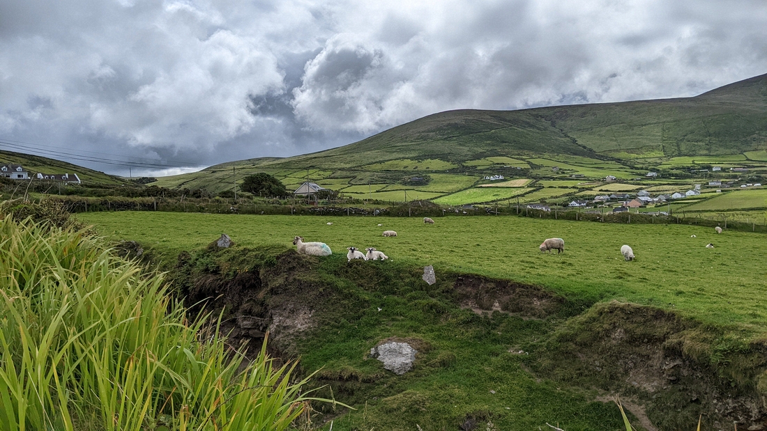 2022-06-02 021 Dunquin Wild Way Atlantic Walk, Dingle Peninsula.jpg