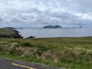 2022-06-02 083 Dunquin Wild Way Atlantic Walk, Dingle Peninsula.jpg