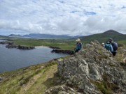 2022-06-02 119 Dunquin Wild Way Atlantic Walk, Dingle Peninsula.jpg