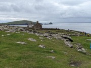 2022-06-02 217 Dunquin Wild Way Atlantic Walk, Dingle Peninsula.jpg