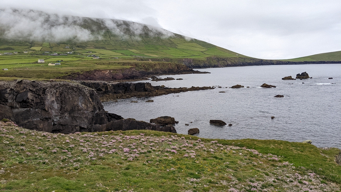 2022-06-02 255 Dunquin Wild Way Atlantic Walk, Dingle Peninsula.jpg
