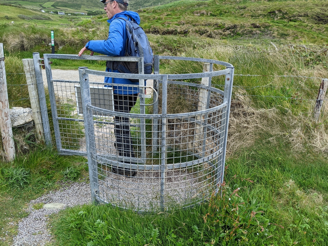2022-06-02 266 Kevin O'Shea (guide), Dunquin Wild Way Atlantic Walk, Dingle Peninsula.jpg