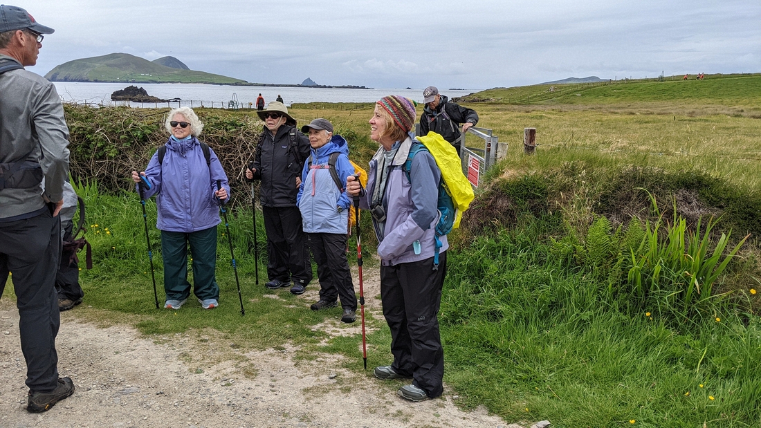 2022-06-02 273 Dunquin Wild Way Atlantic Walk, Dingle Peninsula.jpg
