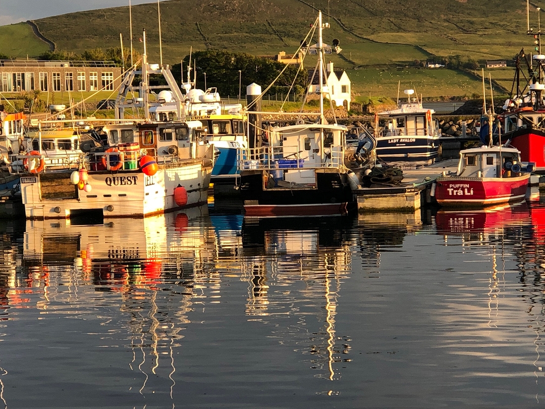 2022-06-03 253 Dingle.jpg