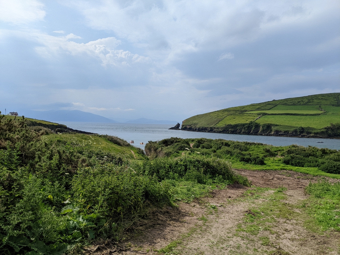 2022-06-04 019 Morning walk, Dingle.jpg