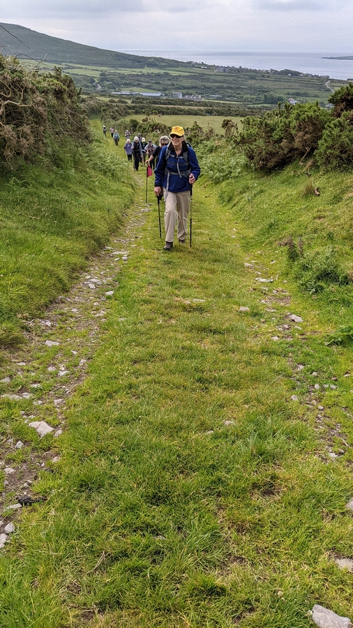 2022-06-05 012 Cosan na Naomh, Dingle Peninsula.jpg