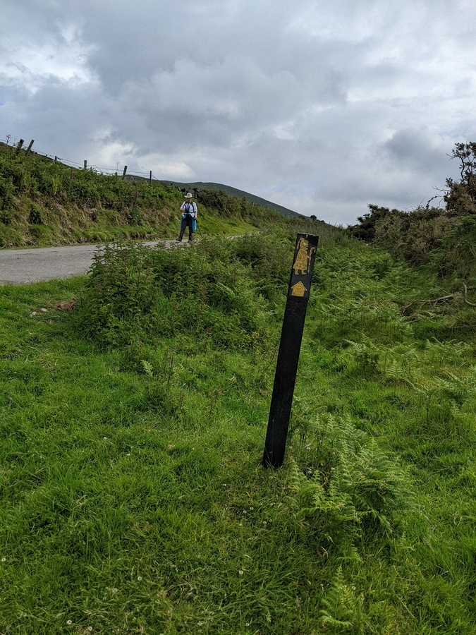 2022-06-05 043 Cosan na Naomh, Dingle Peninsula.jpg