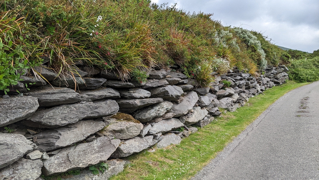 2022-06-05 051 Cosan na Naomh, Dingle Peninsula.jpg