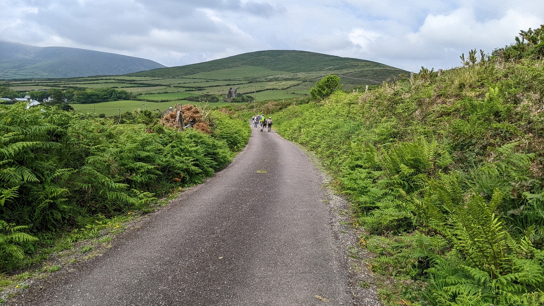 2022-06-05 053 Cosan na Naomh, Dingle Peninsula.jpg