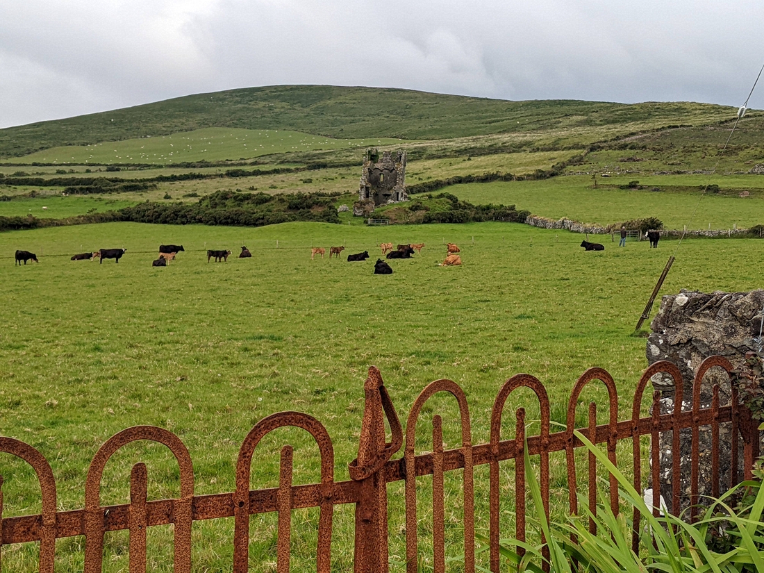 2022-06-05 068 Cosan na Naomh, Dingle Peninsula.jpg
