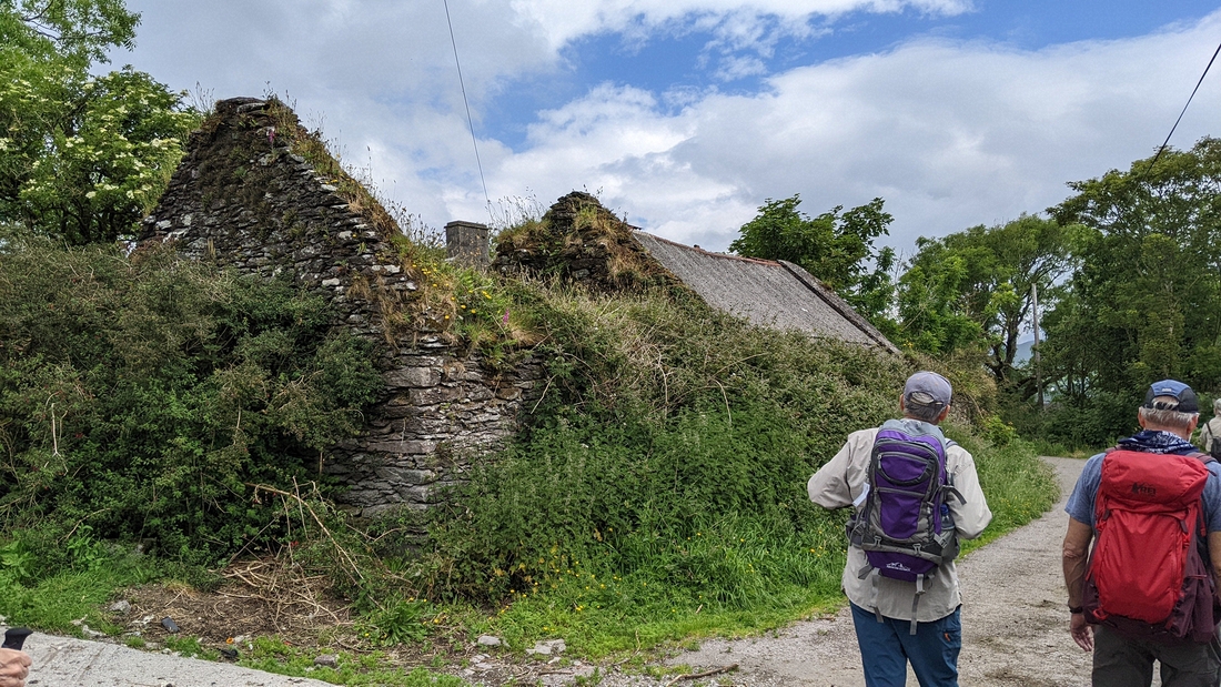 2022-06-05 109 Cosan na Naomh, Dingle Peninsula.jpg