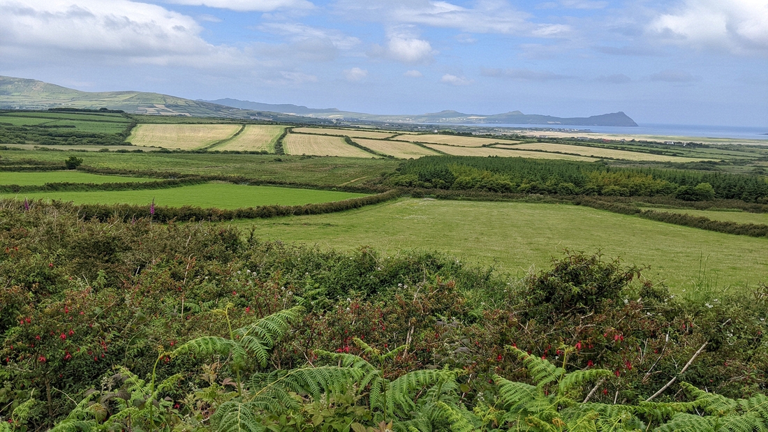 2022-06-05 149 Cosan na Naomh, Dingle Peninsula.jpg