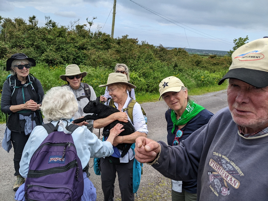 2022-06-05 186 Cosan na Naomh, Dingle Peninsula.jpg