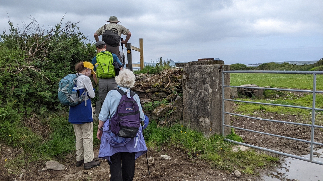 2022-06-05 218 Cosan na Naomh, Dingle Peninsula.jpg