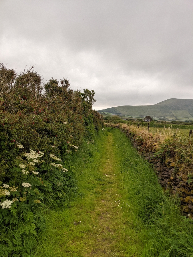 2022-06-05 285 Cosan na Naomh, Dingle Peninsula.jpg