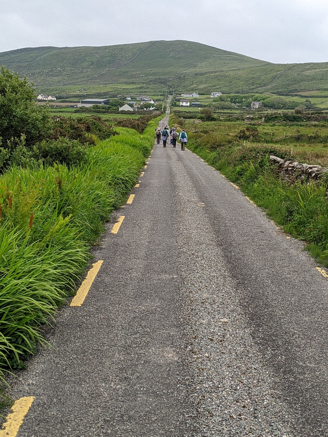 2022-06-05 292 Cosan na Naomh, Dingle Peninsula.jpg