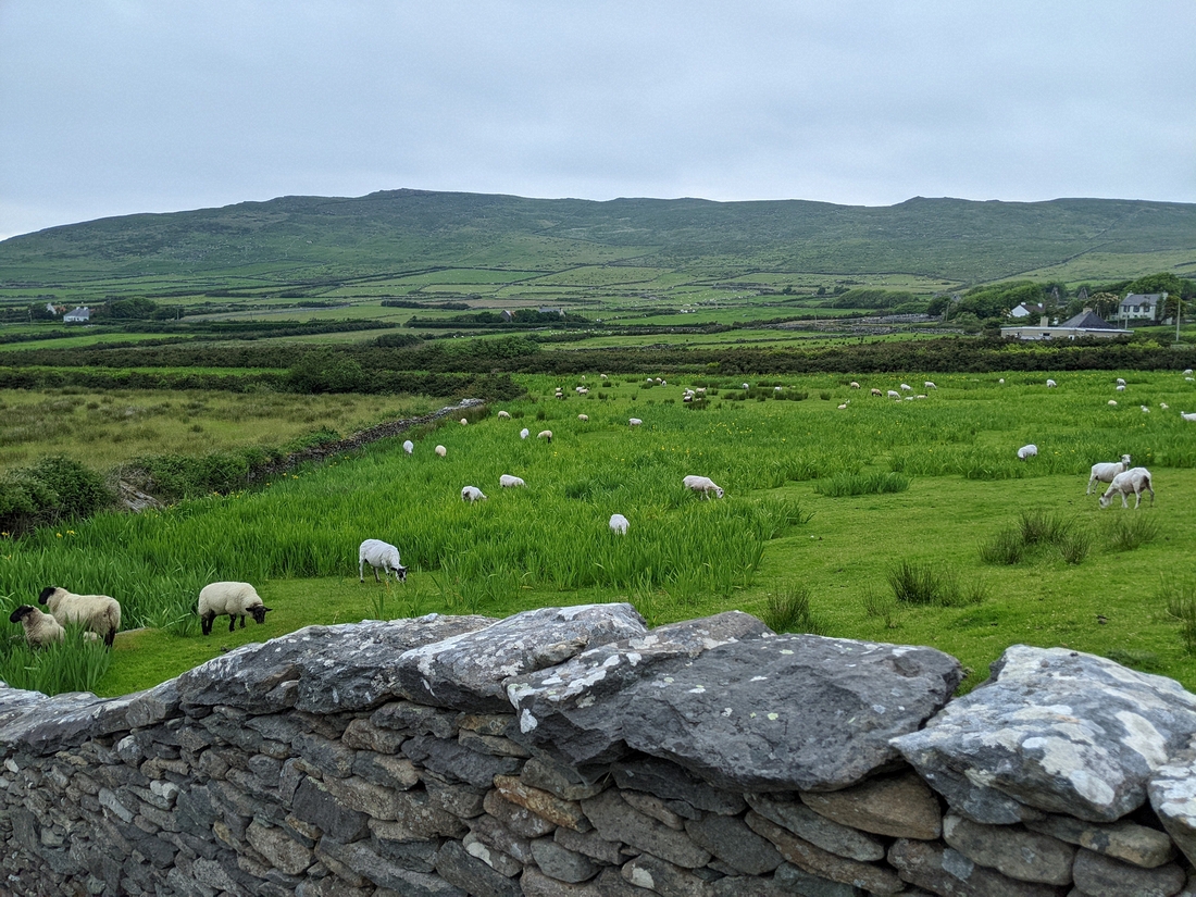 2022-06-05 321 Chancellor's House, Cosan na Naomh, Dingle Peninsula.jpg