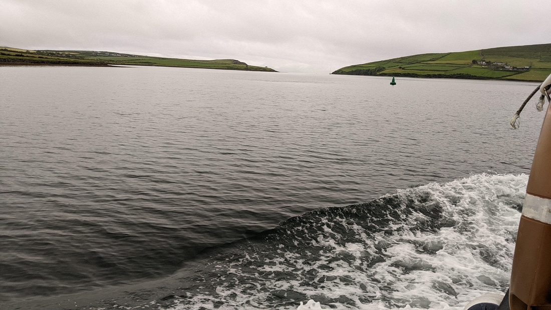 2022-06-06 012 Boat Trip to Great Blasket Island, Dingle Peninsula.jpg
