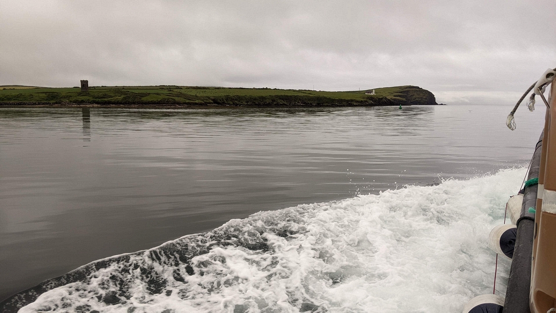 2022-06-06 021 Boat Trip to Great Blasket Island, Dingle Peninsula.jpg
