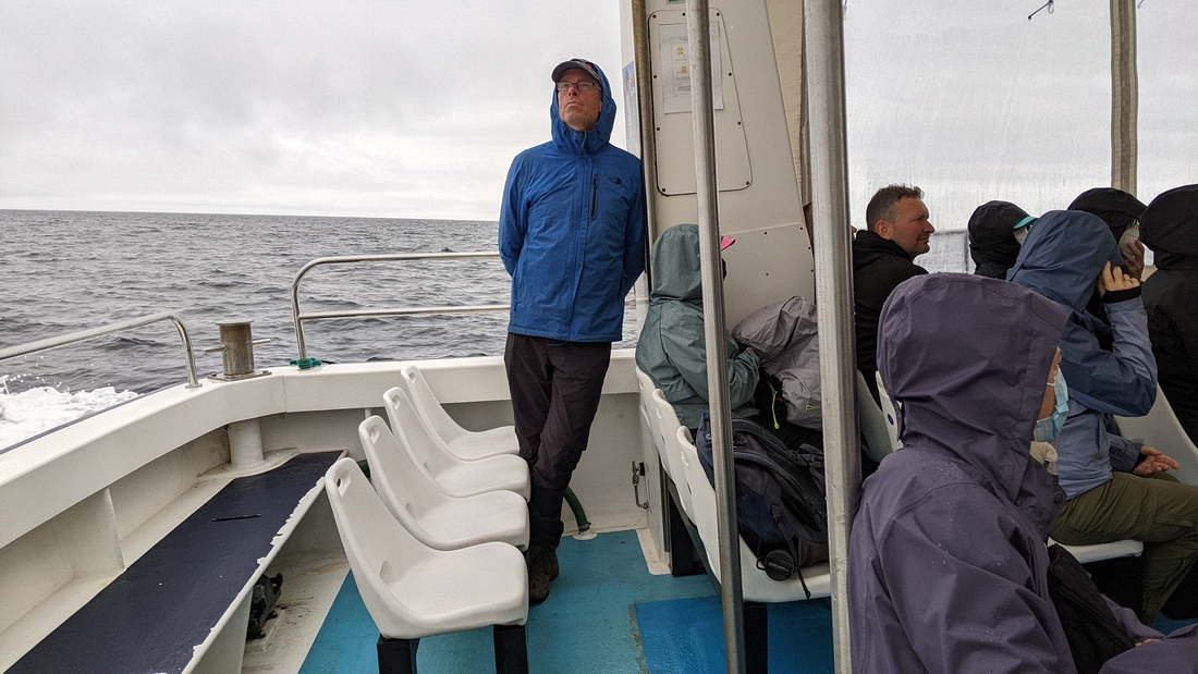 2022-06-06 052 Boat Trip to Great Blasket Island, Dingle Peninsula.jpg