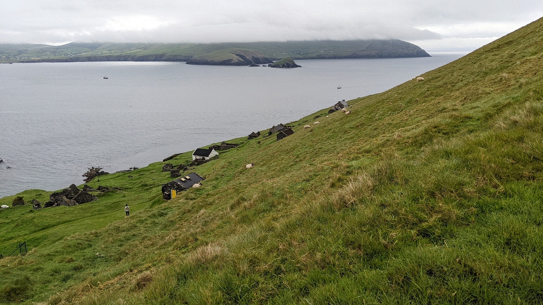 2022-06-06 113 Boat Trip to Great Blasket Island, Dingle Peninsula.jpg