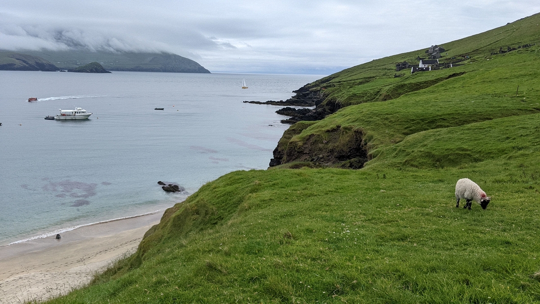 2022-06-06 197 Boat Trip to Great Blasket Island, Dingle Peninsula.jpg