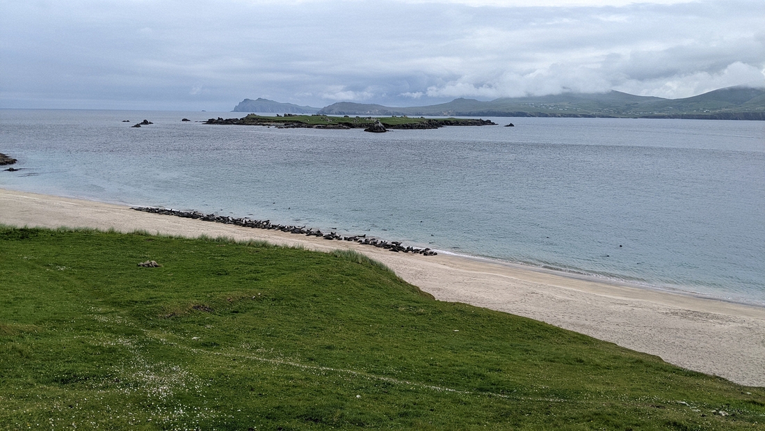 2022-06-06 200 Boat Trip to Great Blasket Island, Dingle Peninsula.jpg