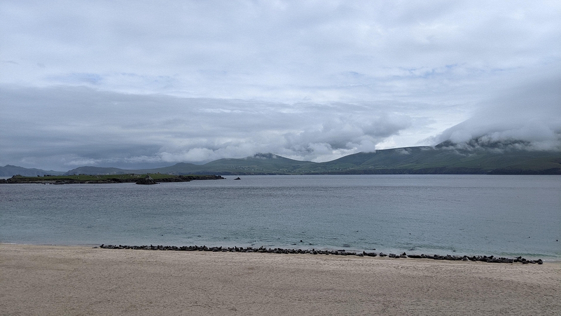 2022-06-06 204 Boat Trip to Great Blasket Island, Dingle Peninsula.jpg
