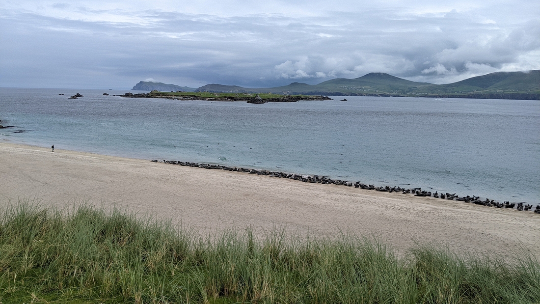 2022-06-06 222 Boat Trip to Great Blasket Island, Dingle Peninsula.jpg