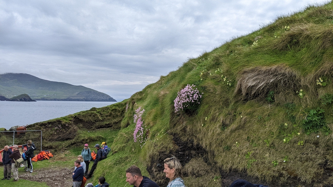 2022-06-06 244 Boat Trip to Great Blasket Island, Dingle Peninsula.jpg