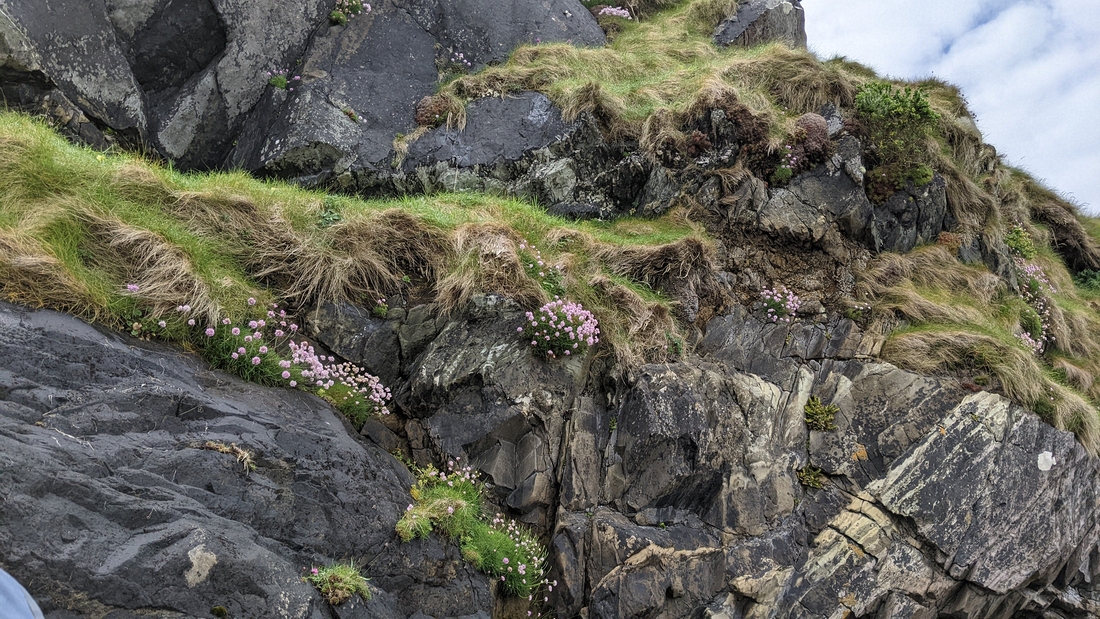 2022-06-06 247 Boat Trip to Great Blasket Island, Dingle Peninsula.jpg