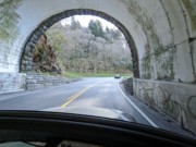 2023-04-20 16 To Newfound Gap, Great Smoky Mountains National Park, from Gatlinburg TN.jpg