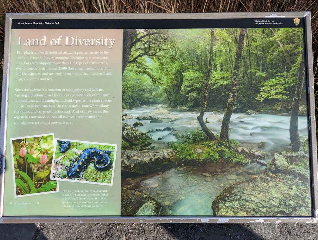 2023-04-20 25 Newfound Gap, Great Smoky Mountains National Park, from Gatlinburg TN.jpg