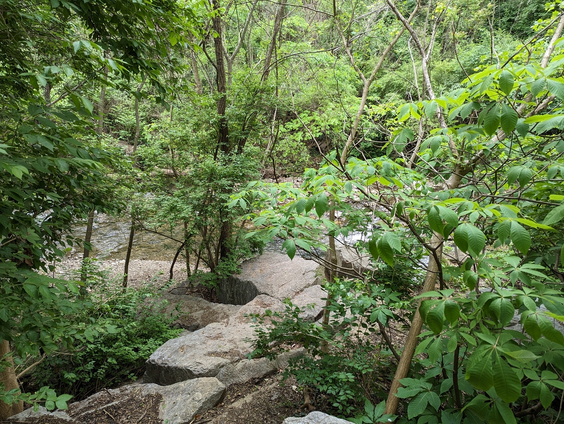 2023-04-23 55 Second Creek Greenway, Knoxville TN.jpg